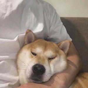 琵琶行（翻自 奇然）