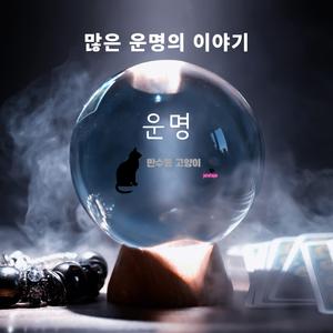 사표위에 잉크방울