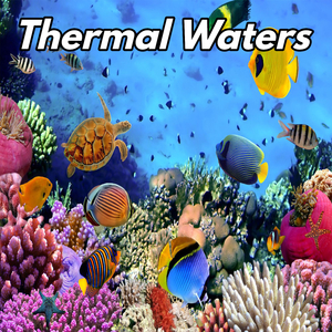 Thermal