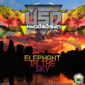 Elephant In The Sky (Original Mix)