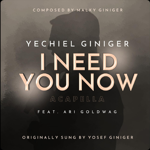 I Need You Now (Acapella) [feat. Ari Goldwag]