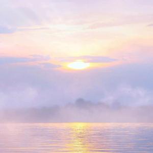 你的猫咪（翻自 Hanser）