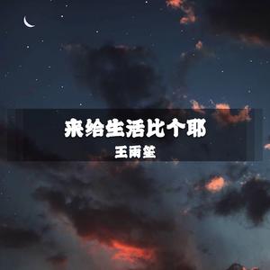 王雨笙《灵魂火花(DJ版)》