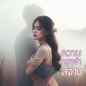 ความทรงจำสีจาง