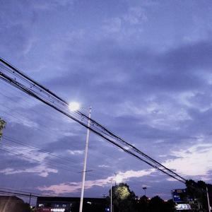 太平洋西岸的歌