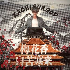 梅花香自苦寒来