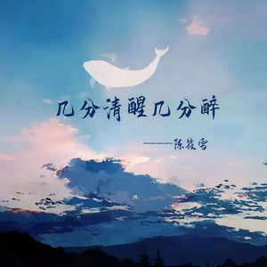 几分清醒几分醉 (DJ童波版)