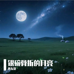银碗骨折的月光
