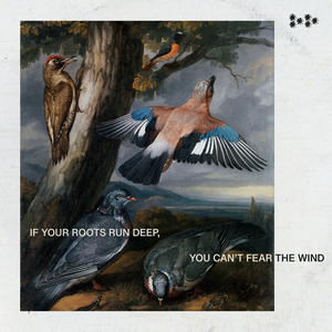 SK4 / SK7 (Seek Kindness / Safe Keeping)