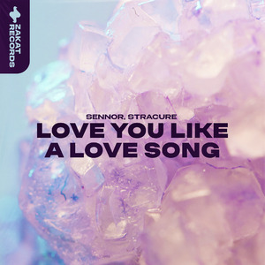 Love You Like a Love Song