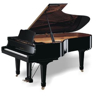 Dm1