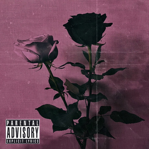 Чёрное сердце