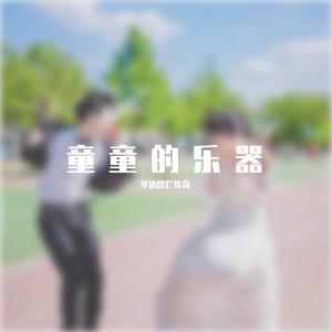 童童的乐器