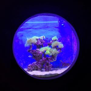 【待售】海洋馆里有什么