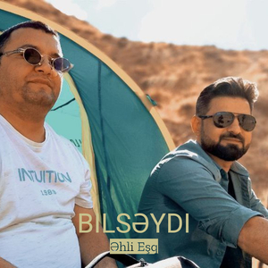 Bilsəydi