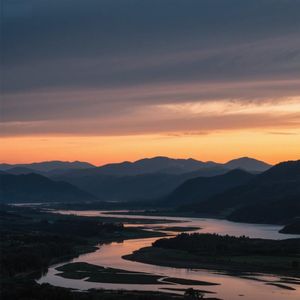 竹林深处闻风声