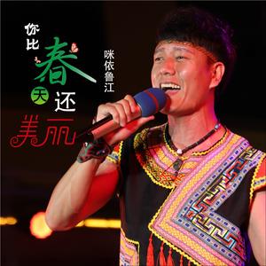 你比春天还美丽 (Dj何鹏版)