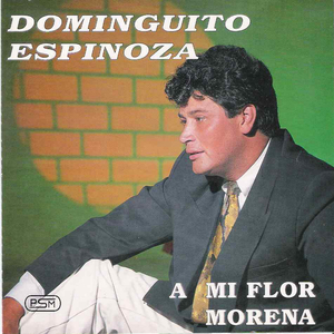 Recordando a Lapachito