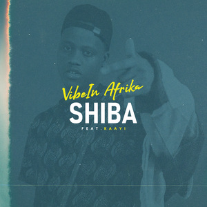 Shiba