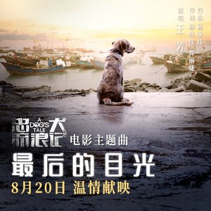 最后的目光