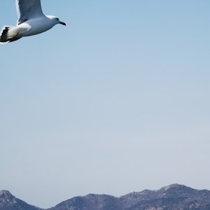 sparkling daydream（中二病也要谈恋爱）