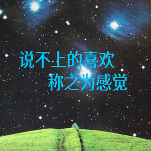 说不上的喜欢 称之为感觉