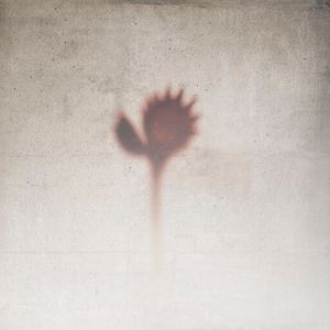 Мир после вчера