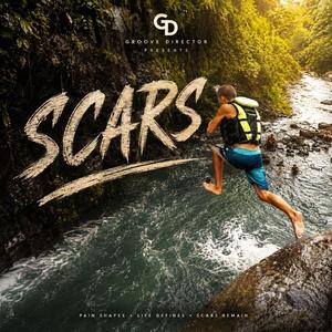 Scars