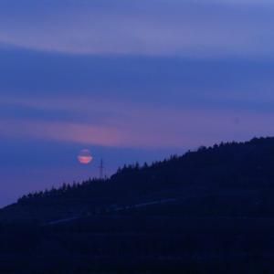 这不是春天（demo）