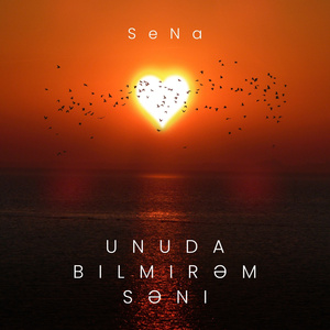 Unuda bilmirəm səni