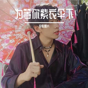 为等你紫衣伞下