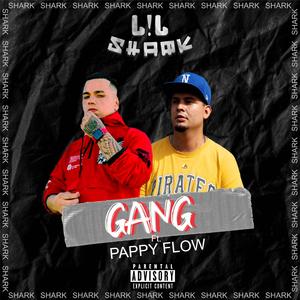 Gang (feat. Papy flow)