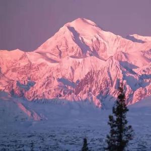 奇妙能力歌（cover陈粒）