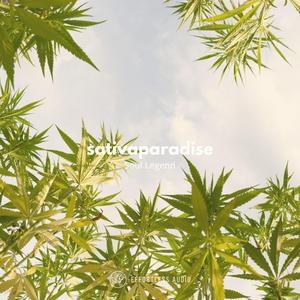 sativaparadise