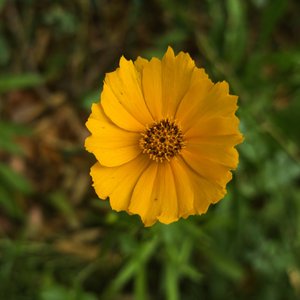 愿意错过