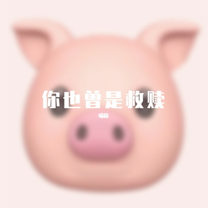 你也曾是救赎
