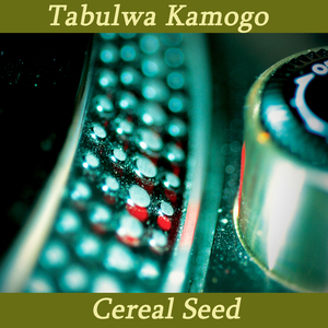 Tabulwa Kamogo