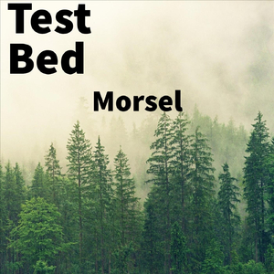 Morsel