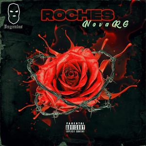 Roches