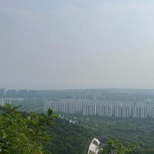 我爱你但是我要回家 2 (3. Remix)