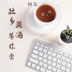 壮乡美酒等你尝(DJ版)