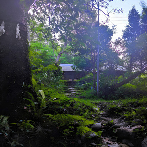 Aura