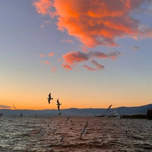 节奏之巅（热播版）