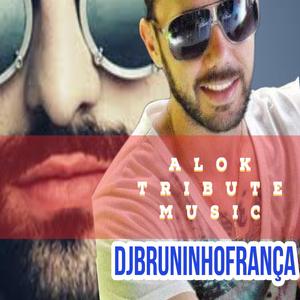 Alok tribute music - Dj Bruno França (Radio Edit)