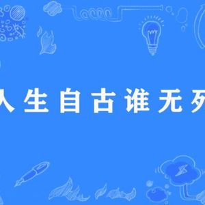 人生自古谁无死