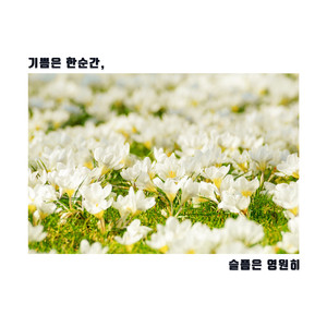 기쁨은 한순간, 슬픔은 영원히