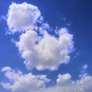 《爱与风雨中的坚定同行》