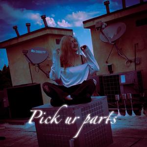 pick ur parts