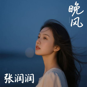 晚风 (烟嗓版)