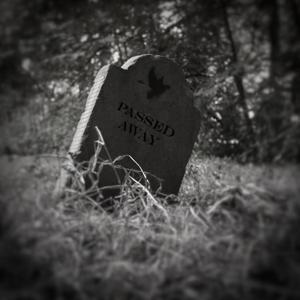 Corpses Under The Television Light